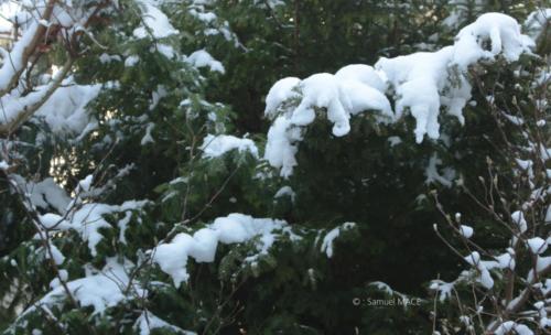 Journée de neige - Livry Gargan (93) - Janvier 2026