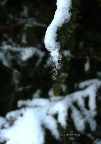 Journée de neige - Livry Gargan (93) - Janvier 2026