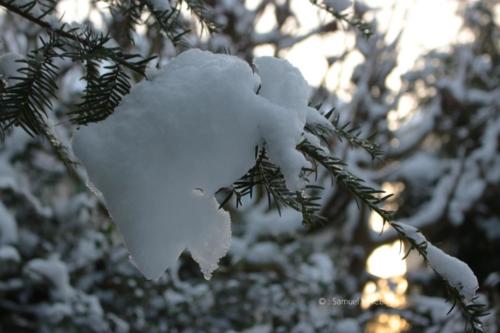 Journée de neige - Livry Gargan (93) - Janvier 2026