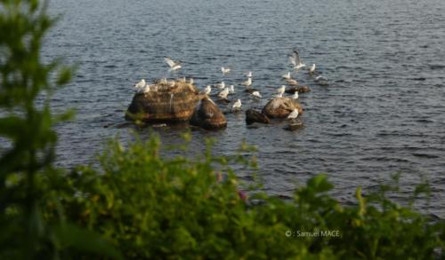 De Val Jalbert à Mashteulatsh - Canada - Juillet 2025
