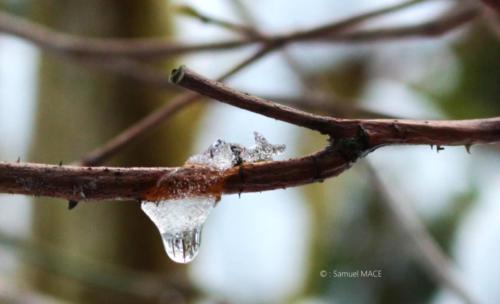 Journée de neige - Livry Gargan (93) - Janvier 2026