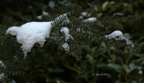 Journée de neige - Livry Gargan (93) - Janvier 2026