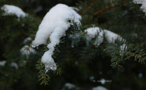 Journée de neige - Livry Gargan (93) - Janvier 2026