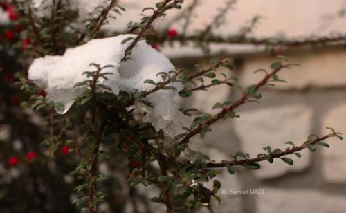 Journée de neige - Livry Gargan (93) - Janvier 2026