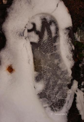 Journée de neige - Livry Gargan (93) - Janvier 2026