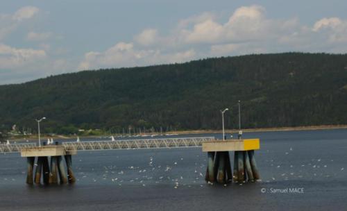 De Alma au Petit Saguenay - Canada - Juillet 2025