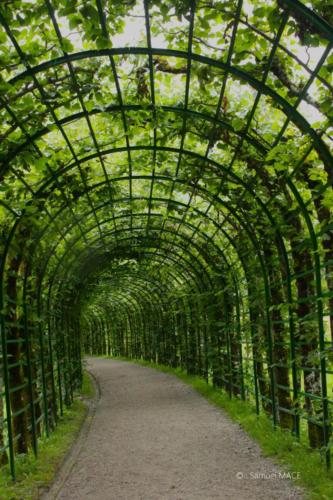 De Hohenschwangau à Linderhof - Allemagne - Août 2023