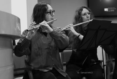 Coeur de flutes - Verrières le Buisson (91) - Février 2026