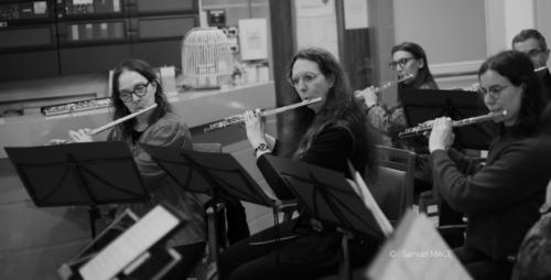 Coeur de flutes - Verrières le Buisson (91) - Février 2026