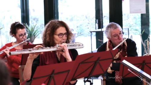 Coeur de flutes - Verrières le Buisson (91) - Février 2026