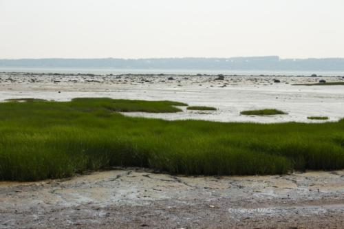 De Port au Persil à Petite Rivière Saint François - Canada - Juillet 2025