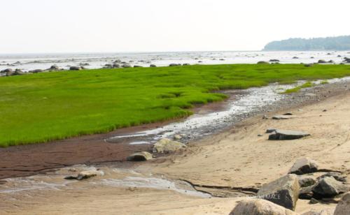De Port au Persil à Petite Rivière Saint François - Canada - Juillet 2025