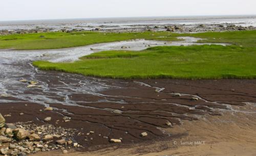 De Port au Persil à Petite Rivière Saint François - Canada - Juillet 2025