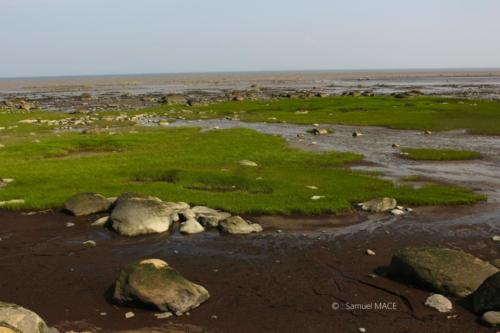 De Port au Persil à Petite Rivière Saint François - Canada - Juillet 2025