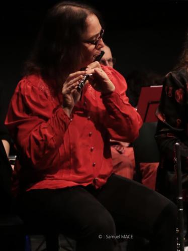 Concert du nouvel An - Paris 13e - Février 2026