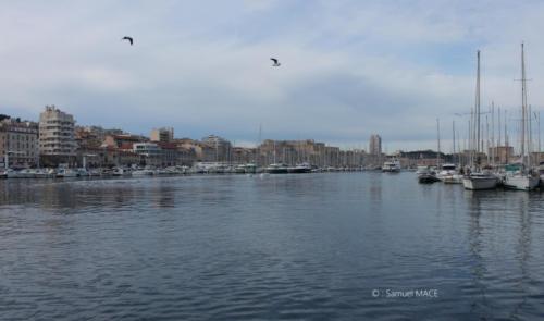 Du Vieux Port au Panier - Marseille - Février 2024
