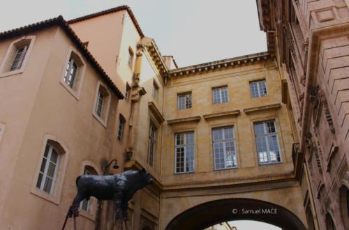 Du Vieux Port au Panier - Marseille - Février 2024