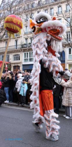 Défilé du Nouvel an chinois - Paris - Janvier 2023