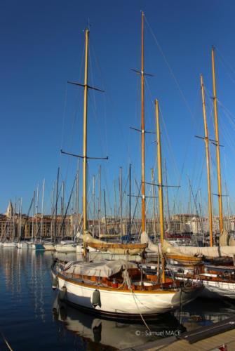 De ND de la Garde au Musée des Beaux-Arts - Marseille - Février 2024