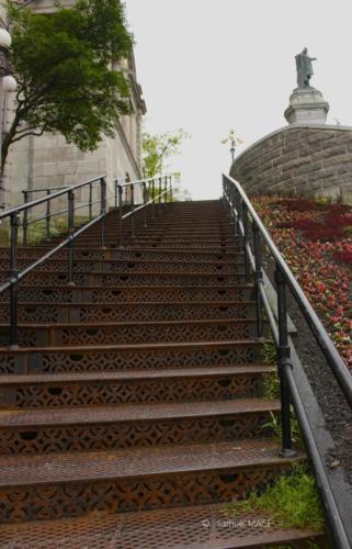 de la Cathédrale à la Basse Ville -Québec - Juillet 2025