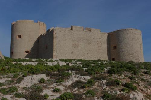 Ile d’If - Marseille - Février 2024
