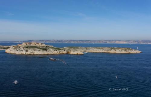 Ile d’If - Marseille - Février 2024