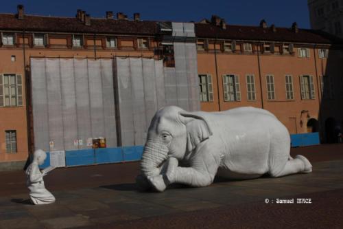 Musei Reali di Torino et environs - Italie - Août 2022