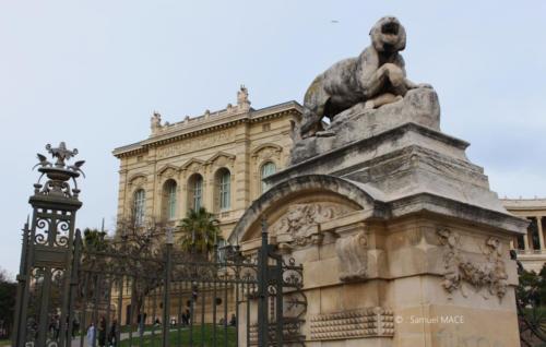 De ND de la Garde au Musée des Beaux-Arts - Marseille - Février 2024