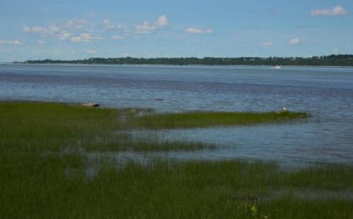 De St Antoine de Tilly vers St Ours - Canada - Juillet 2025