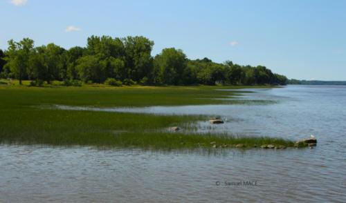 De St Antoine de Tilly vers St Ours - Canada - Juillet 2025